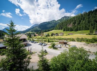 chalet-alpin-park-38