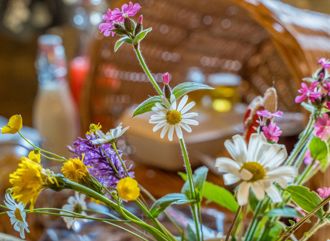 chalet-alpin-park-128