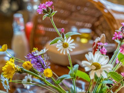 chalet-alpin-park-128